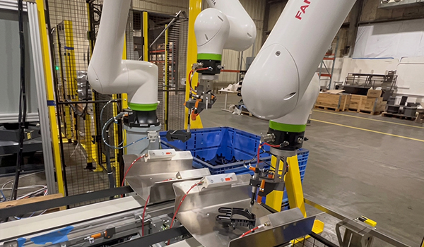 Collaborative Robotic Packaging