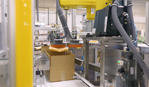 Top-Load Robotic Case Packaging